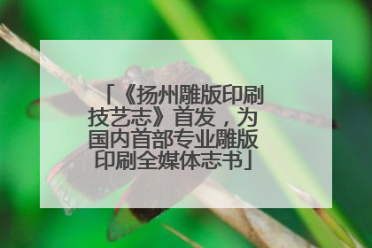 《扬州雕版印刷技艺志》首发，为国内首部专业雕版印刷全媒体志书
