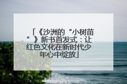 《沙洲的“小树苗”》新书首发式：让红色文化在新时代少年心中绽放