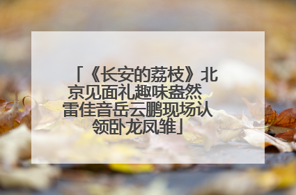 《长安的荔枝》北京见面礼趣味盎然 雷佳音岳云鹏现场认领卧龙凤雏