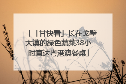 「甘快看」长在戈壁大漠的绿色蔬菜38小时直达粤港澳餐桌