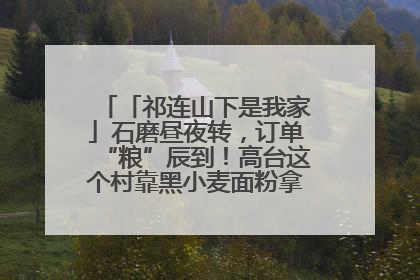「祁连山下是我家」石磨昼夜转，订单“粮”辰到！高台这个村靠黑小麦面粉拿下成立来最大订单