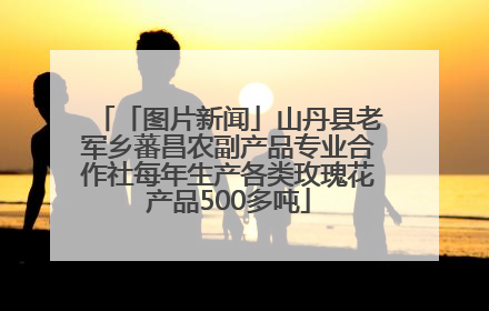 「图片新闻」山丹县老军乡蕃昌农副产品专业合作社每年生产各类玫瑰花产品500多吨
