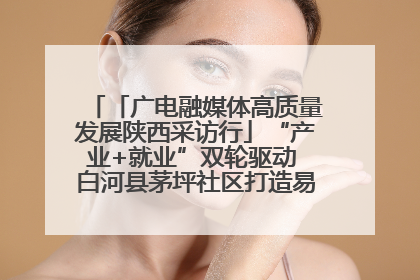 「广电融媒体高质量发展陕西采访行」“产业+就业”双轮驱动 白河县茅坪社区打造易地搬迁后扶新样本