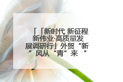 「新时代 新征程 新伟业·高质量发展调研行」外贸“新”风从“青”来 “双向奔赴”启新程