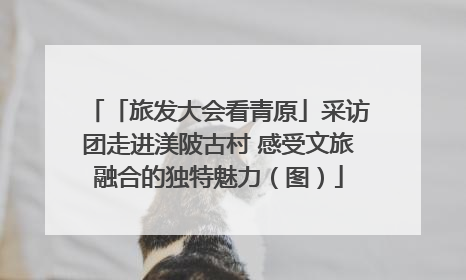 「旅发大会看青原」采访团走进渼陂古村 感受文旅融合的独特魅力（图）