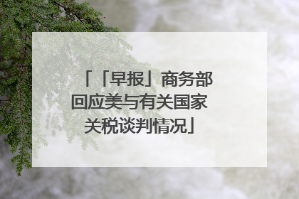 「早报」商务部回应美与有关国家关税谈判情况