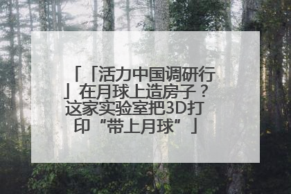 「活力中国调研行」在月球上造房子？这家实验室把3D打印“带上月球”