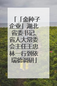 「金种子企业」湖北省委书记、省人大常委会主任王忠林一行到依瑞德调研