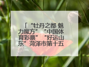 “牡丹之都 魅力魔方”“中国体育彩票”“好运山东”菏泽市第十五届全民健身运动会魔方比赛开幕