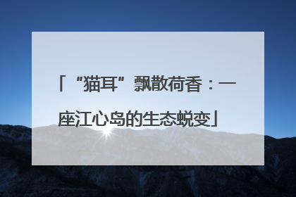 “猫耳”飘散荷香：一座江心岛的生态蜕变