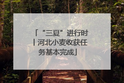 “三夏”进行时丨河北小麦收获任务基本完成