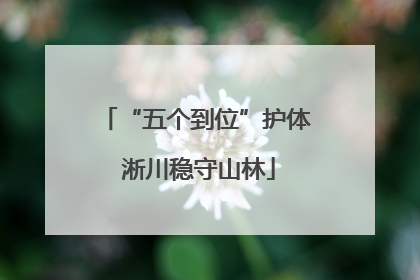 “五个到位”护体 淅川稳守山林