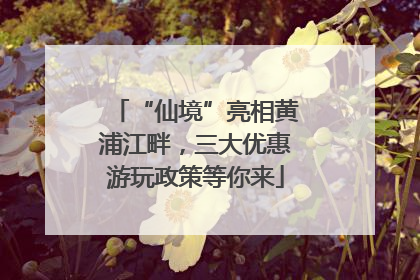 “仙境”亮相黄浦江畔，三大优惠游玩政策等你来