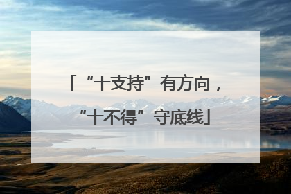 “十支持”有方向，“十不得”守底线