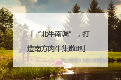 “北牛南调”，打造南方肉牛集散地