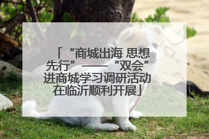 “商城出海 思想先行”——“双会”进商城学习调研活动在临沂顺利开展