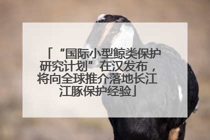 “国际小型鲸类保护研究计划”在汉发布，将向全球推介落地长江江豚保护经验