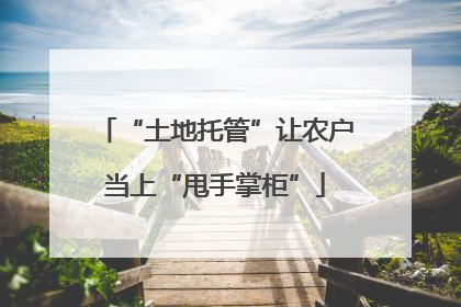 “土地托管”让农户当上“甩手掌柜”