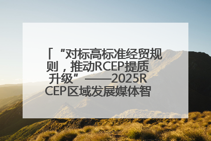 “对标高标准经贸规则，推动RCEP提质升级”——2025RCEP区域发展媒体智库论坛举行专题对话