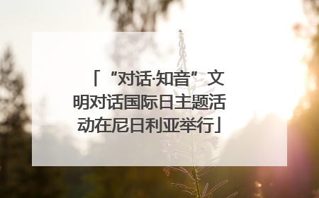 “对话·知音”文明对话国际日主题活动在尼日利亚举行
