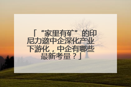 “家里有矿”的印尼力邀中企深化产业下游化，中企有哪些最新考量？