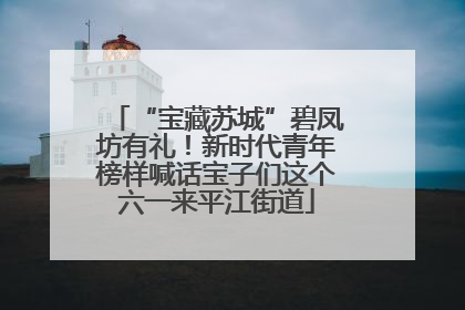 “宝藏苏城”碧凤坊有礼！新时代青年榜样喊话宝子们这个六一来平江街道