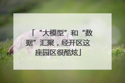 “大模型”和“数据”汇聚，经开区这座园区很酷炫