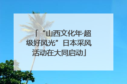 “山西文化年·超级好风光”日本采风活动在大同启动