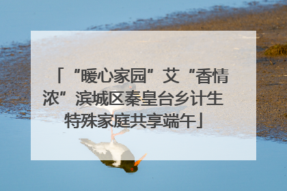 “暖心家园”艾“香情浓”滨城区秦皇台乡计生特殊家庭共享端午