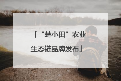 “楚小田”农业生态链品牌发布