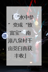 “水中参”变成“致富宝” 南漳八泉村千亩茭白喜获丰收