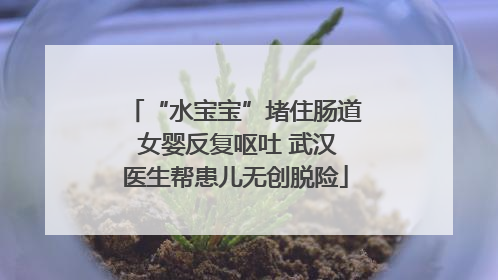 “水宝宝”堵住肠道 女婴反复呕吐 武汉医生帮患儿无创脱险