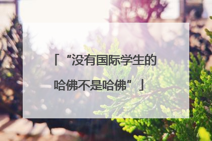 “没有国际学生的哈佛不是哈佛”