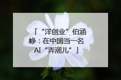 “洋创业”伯涵峥：在中国当一名AI“弄潮儿”