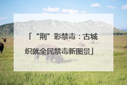 “荆”彩禁毒：古城织就全民禁毒新图景