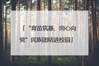 “育苗筑基、同心向党”民族团结进校园
