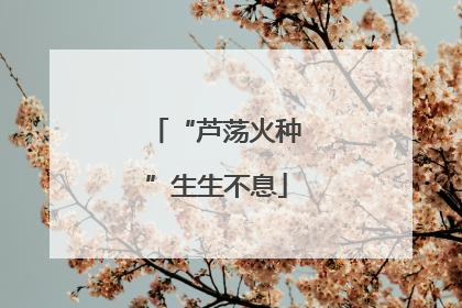 “芦荡火种”生生不息
