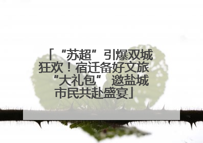 “苏超”引爆双城狂欢！宿迁备好文旅“大礼包” 邀盐城市民共赴盛宴