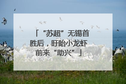 “苏超”无锡首胜后，盱眙小龙虾前来“助兴”