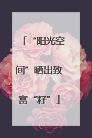 “阳光空间”晒出致富“籽”