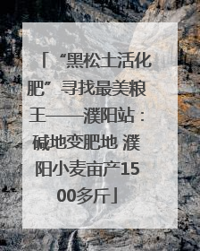 “黑松土活化肥”寻找最美粮王——濮阳站：碱地变肥地 濮阳小麦亩产1500多斤