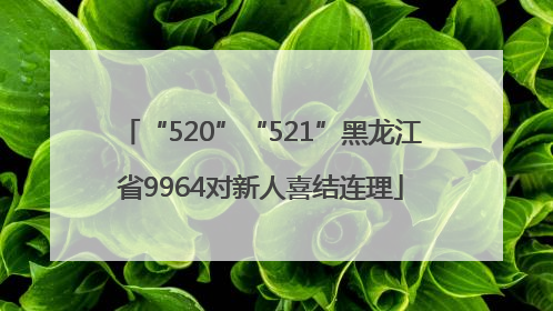 “520”“521”黑龙江省9964对新人喜结连理