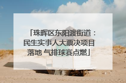 珠晖区东阳渡街道：民生实事人大票决项目落地 气排球赛点燃