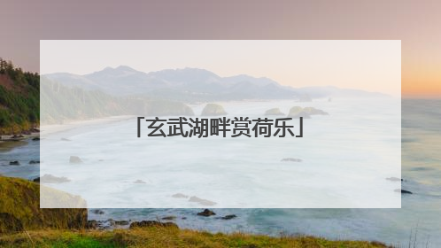 玄武湖畔赏荷乐