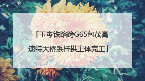 玉岑铁路跨G65包茂高速特大桥系杆拱主体完工