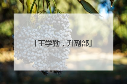 王学勤，升副部
