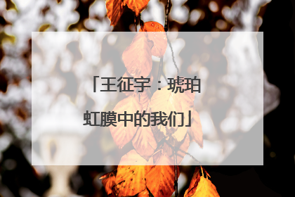王征宇：琥珀虹膜中的我们