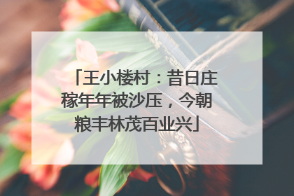 王小楼村：昔日庄稼年年被沙压，今朝粮丰林茂百业兴