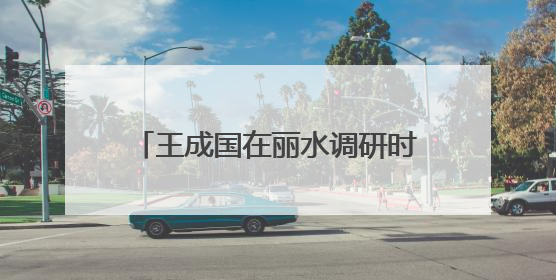 王成国在丽水调研时强调：以更高水平安全和法治环境服务保障山区海岛县高质量发展