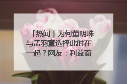 热闻｜为何董明珠与孟羽童选择此时在一起？网友：利益面前啥都能和解